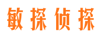 凌河市侦探调查公司